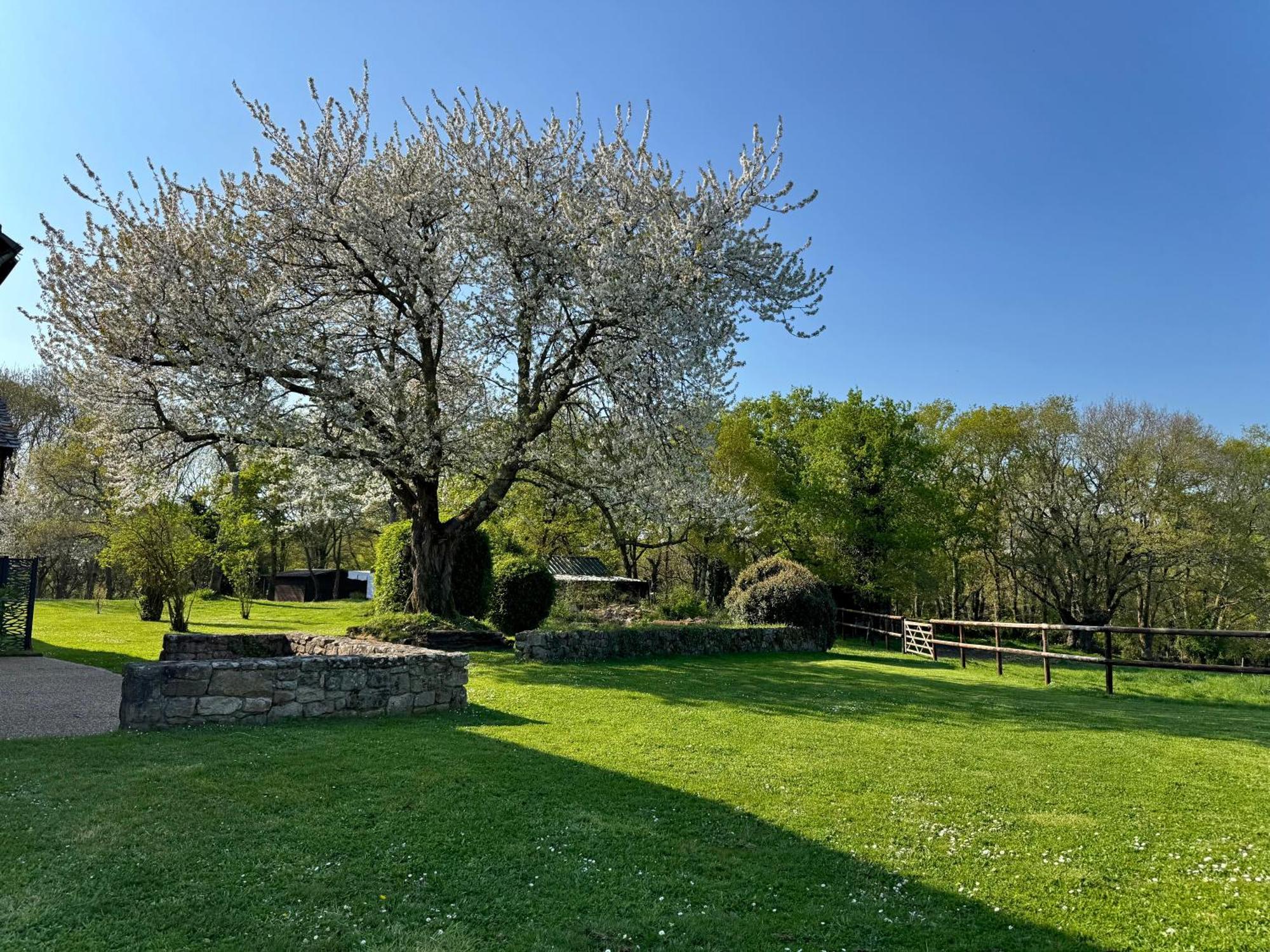 Le Domaine Du Ganquis Belz Exterior foto